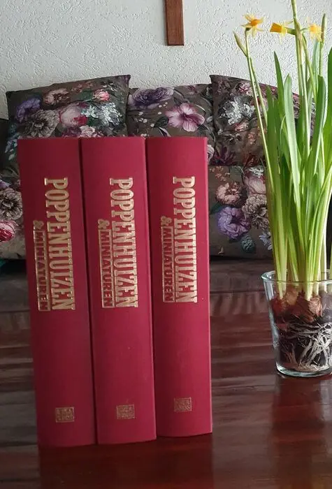 Poppenhuizen &amp; miniaturen - Poppenhuis Poppenhuizen