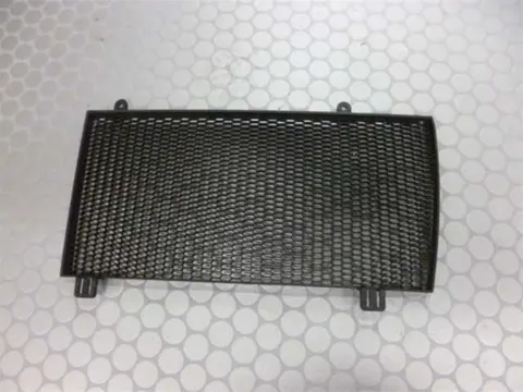 RADIATOR TOEBEHOREN BMW F 800 GS 2008 - 2011