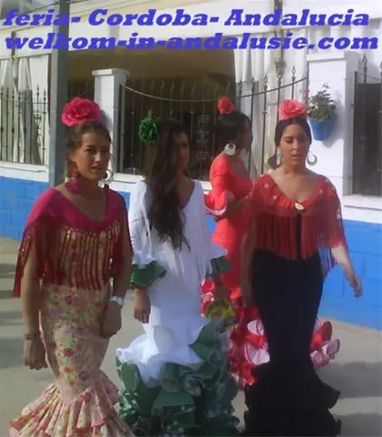 Andalusie, vakantiehuis met wifi te huur