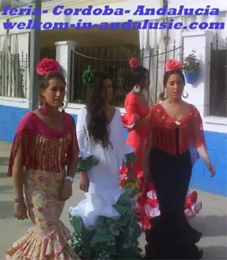 Andalusie, vakantiehuis met wifi te huur