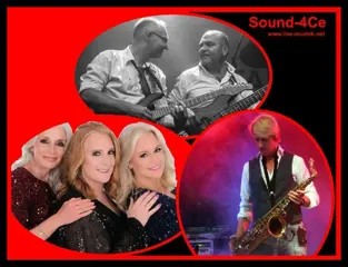 Top duo en trio of allround coverband de ultieme live muziek