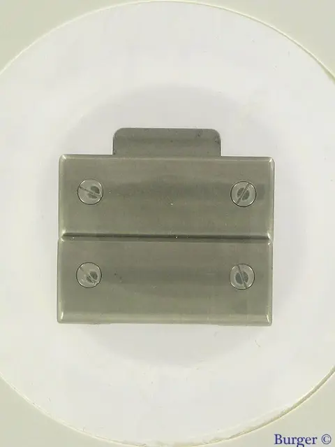 Cartier Santos Stainless Steel Link 20,80 MM 2 Pcs