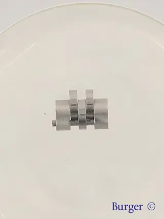 Rolex Stainless Steel Jubilee Link 9,90 MM