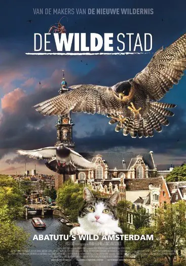 DE WILDE STAD filmposter.