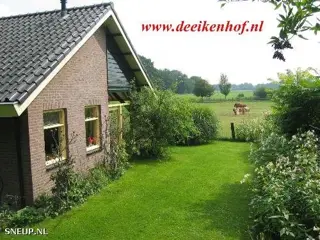 Zomer 2025: Landelijke Vakantiewoning Overijssel