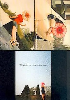 Renault twingo op Boomerangkaart x 3