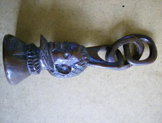 Zuid afrikaans hoofd adv6512