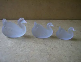 Leuke zwanen adv6520