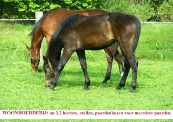 Woonboerderij, 2,2 hectare, stalruimte voor paarden
