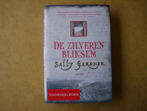 De zilveren bliksem adv6821 p