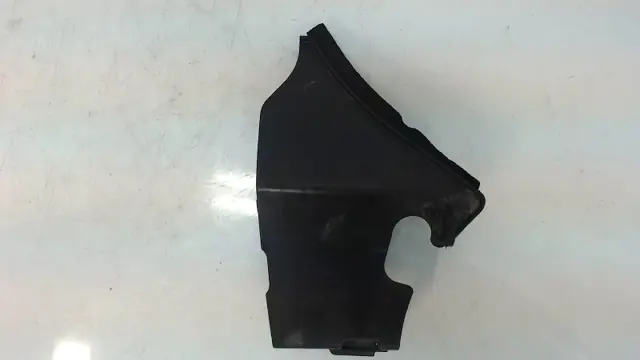 OVERIG Honda CBR Fireblade 2000 - 2001