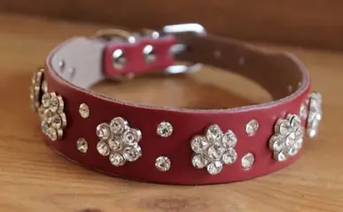 Leren hondenhalsband " Strass bloemen " Rood