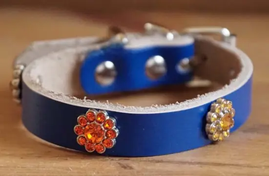 Leren hondenhalsband "Strass bloemen oranje / geel" Kobalt