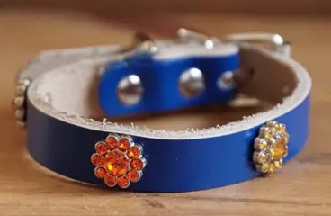 Leren hondenhalsband "Strass bloemen oranje / geel" Kobalt