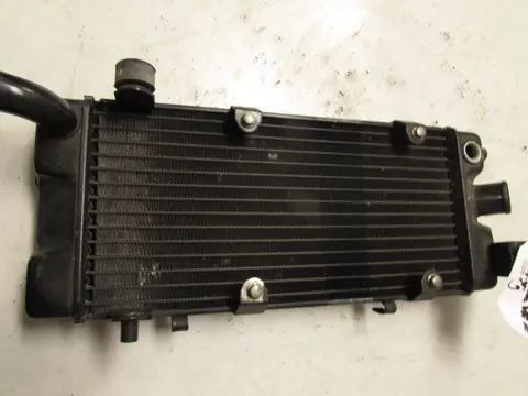 RADIATEUR Honda VT 600 1988 - 1998
