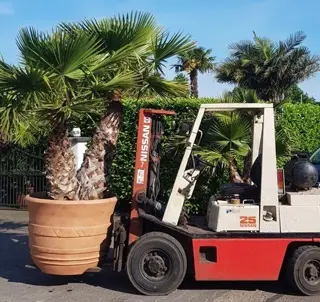 Grote plantenbak/bloembak MEDITERAAN