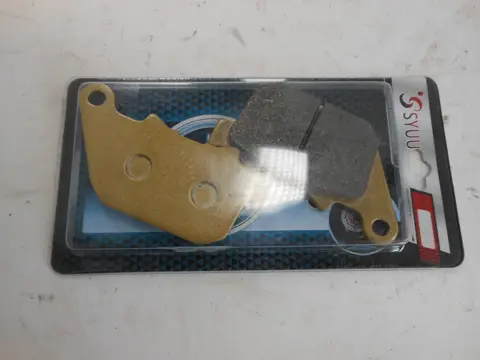 REMBLOKKEN ACHTER Harley Davidson Sportster 2004 - 2021