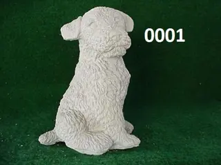 Hond.