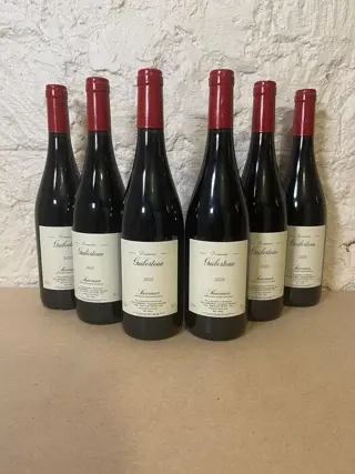 2020 Domaine Guiberteau - Saumur - 6 Flessen (0.75 liter)
