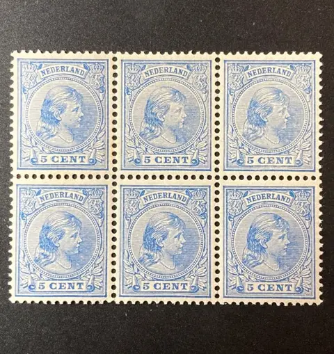 Nederland 1891 - Koningin Wilhelmina in blokje van zes - NVPH 35d