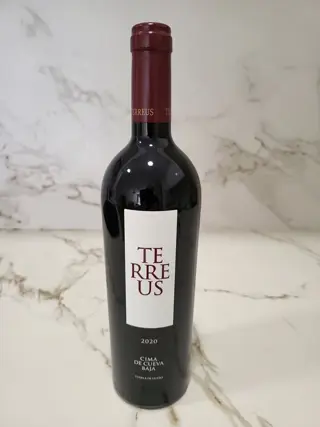 2020 Bodegas Mauro, 'Terreus' Cima de Cueva Baja - VT