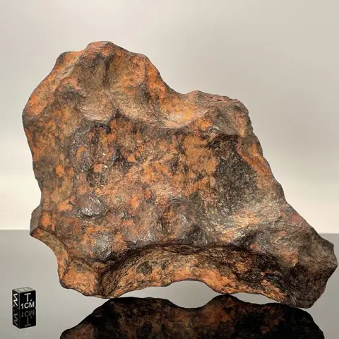 Gibeon meteoriet IJzer meteoriet - 4.3 kg