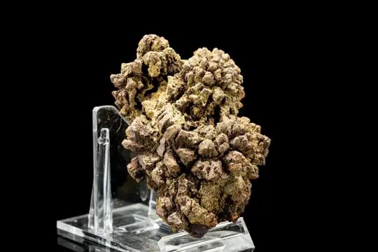 Mooie massieve natuurlijke versteende kak - compleet -