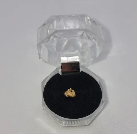 Goud natuurlijk goudklompje Australië - 0.61 g - (1)