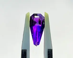 Violet Hackmaniet - 0.81 ct