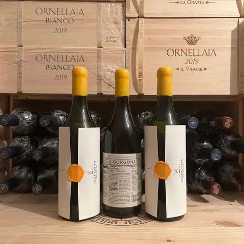 2021 Marchesi Frescobaldi, Costa Toscana "Gorgona Bianco" -