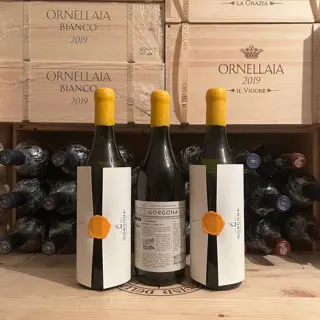 2021 Marchesi Frescobaldi, Costa Toscana "Gorgona Bianco" -