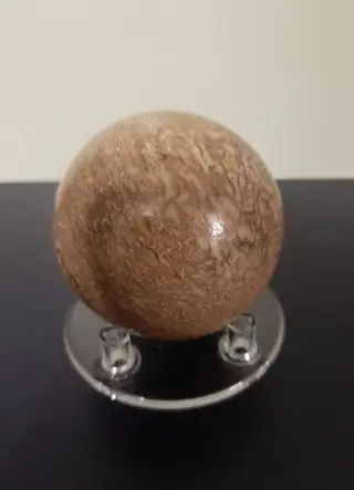 Sauropod Samengestelde Botbol - Jura Bot - 61×61×61 cm - 0