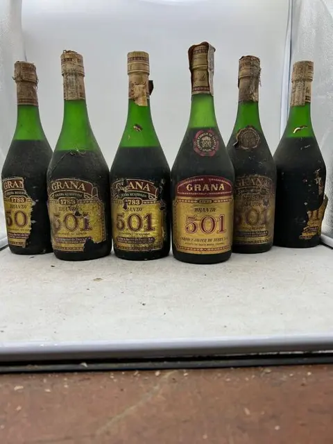 Carlos y Javier de Terry - 501 Grana Solera Reservada1793 -