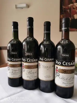 1992 Grignolino, 1993 Barolo ,1995 Dolcetto &amp; 1996