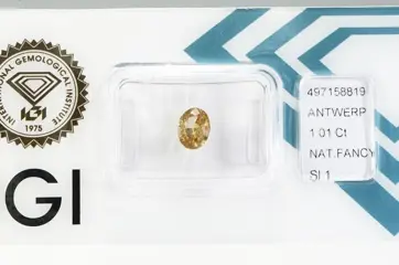1 pcs Diamant - 1.01 ct - Ovaal - fancy intens bruin - SI1