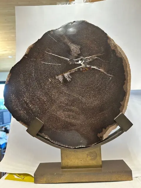 Fossiel hout - Stuk - 35×5×30 cm