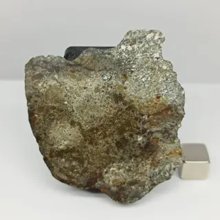 XL NIEUWE "MONT TESSALIT 001" (Algerije, 2021). EUCRITE