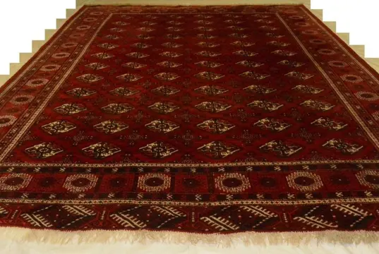 Turkeman - Tapijt - 317 cm - 265 cm