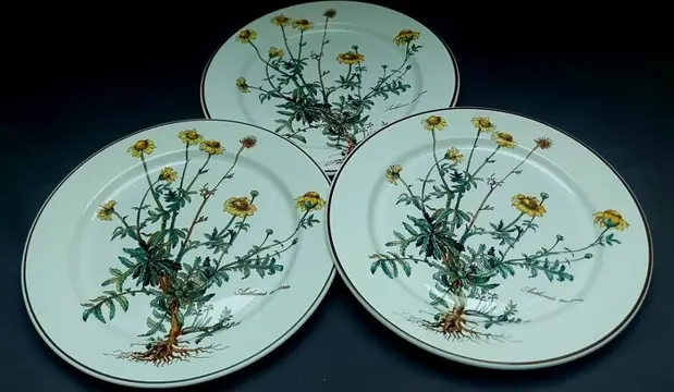 Botanica - Villeroy &amp; Boch - Dinerborden (3) - Keramiek