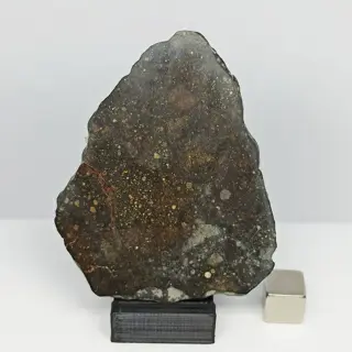 XL Brecciated RUMURUTI R3-6. NWA 13683 (Algerije, 2018).