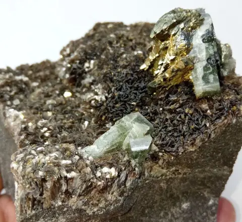 Meng mineraal chalcopyriet, mica, blenda en apatiet