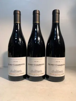 2018 Gevrey-Chambertin - Henri de Villamont - Bourgogne - 3