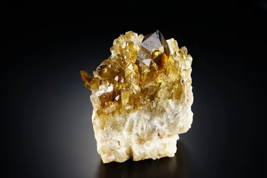 CITRIEN - natuurlijke grote clusters met