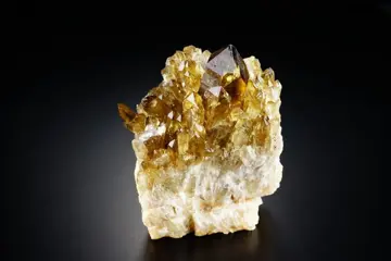 CITRIEN - natuurlijke grote clusters met