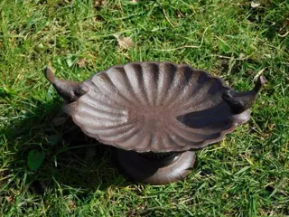 Vogelschaal, vogelbad
