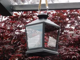 Lantaarn , windlicht jack