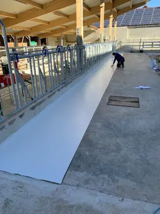 Melkstalvloeren gemaakt tussen de melkbeurten