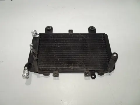 RADIATEUR Triumph Tiger 900 1999 - 2000
