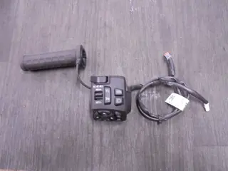 STUURSCHAKELAAR LINKS Harley Davidson Pan America 2021 -