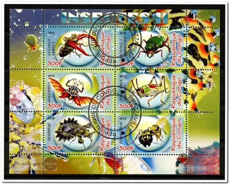 CINDERELLA: Insecten / Insects II - Congo - 2010